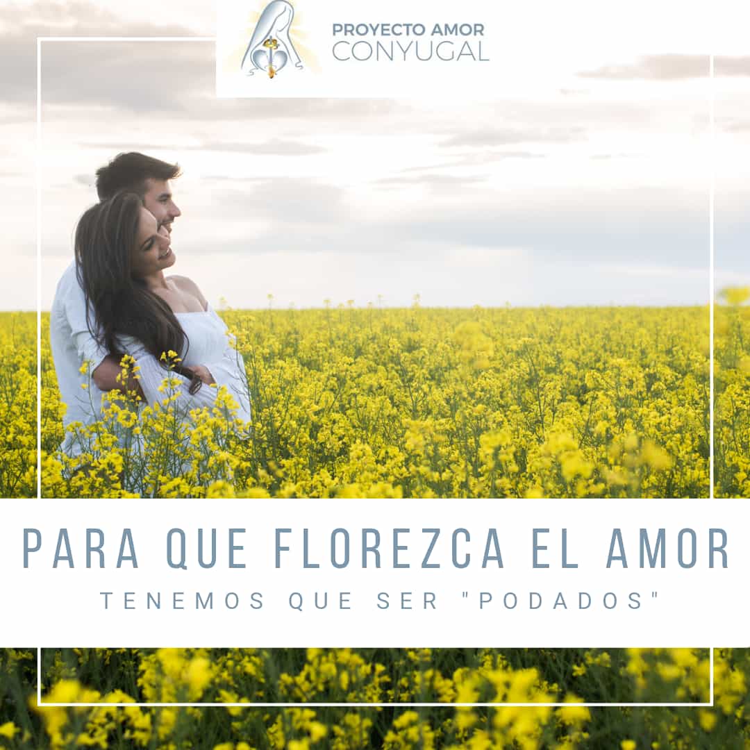 IMG 20240501 WA0000 Proyecto Amor Conyugal